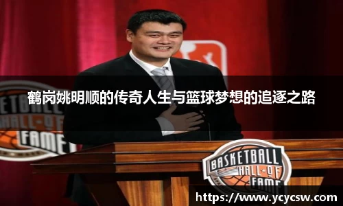 球速体育平台入口