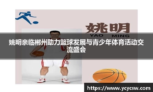 球速体育平台入口