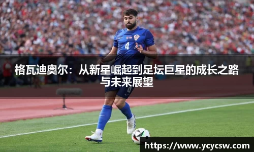球速体育平台入口