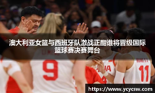 球速体育平台入口