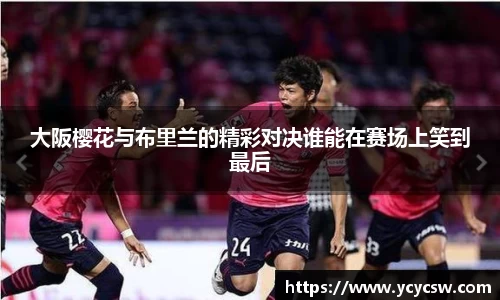 球速体育平台入口