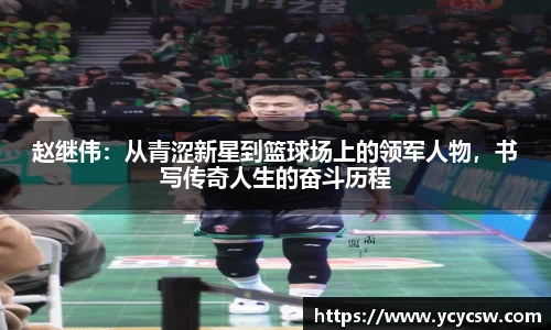 球速体育平台入口